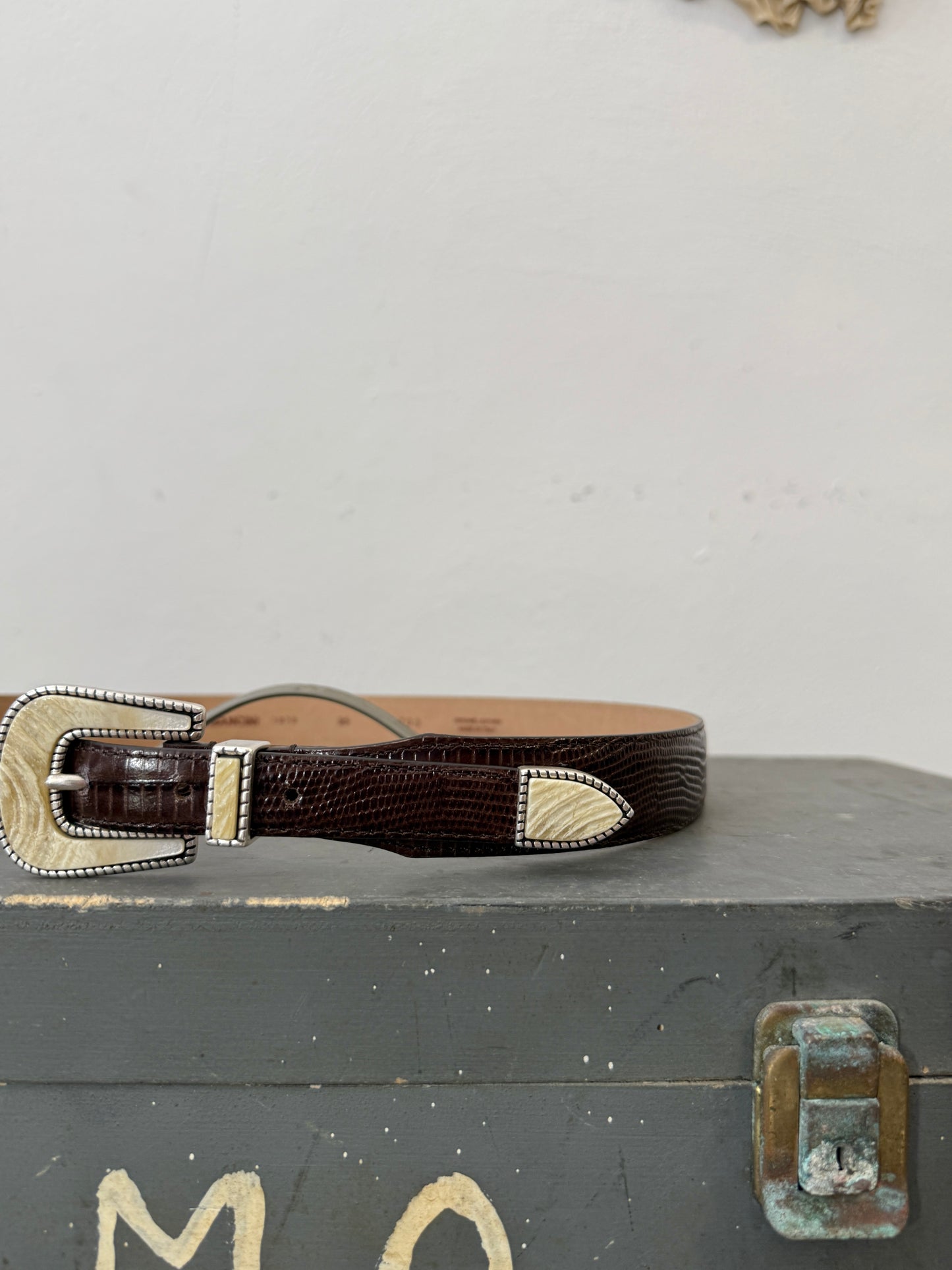 Dark Brown Teju Lizard Belt – Matthew