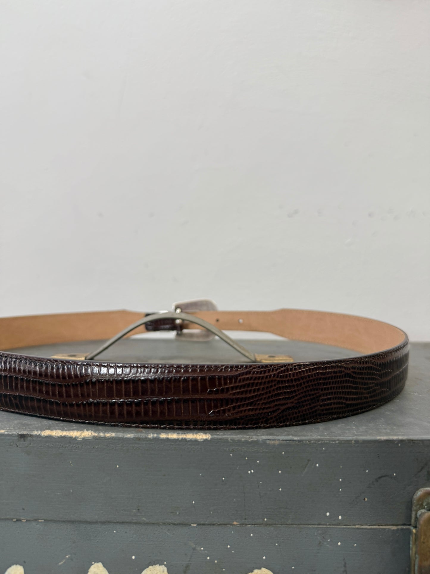 Dark Brown Teju Lizard Belt – Matthew