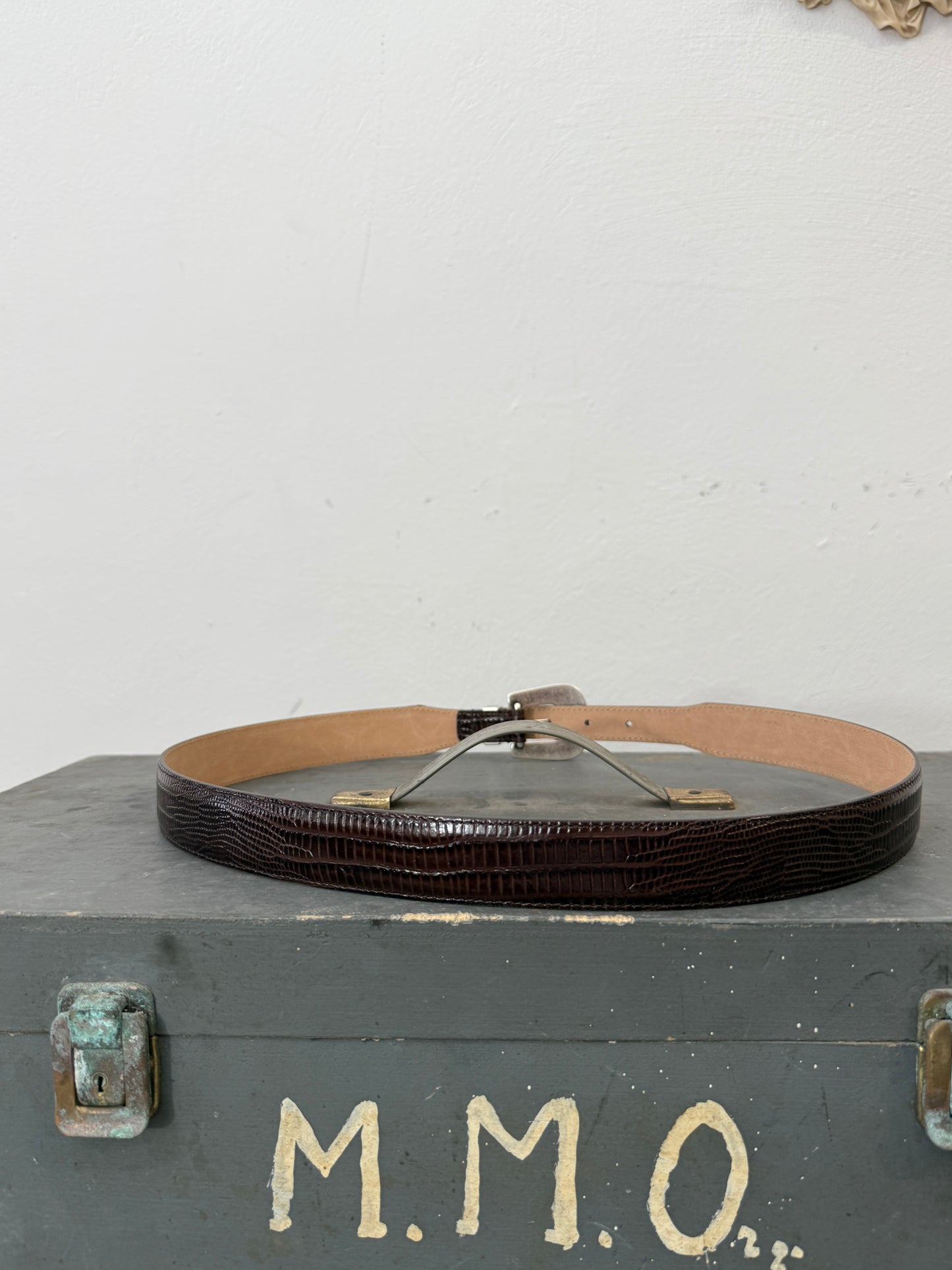 Dark Brown Teju Lizard Belt – Matthew